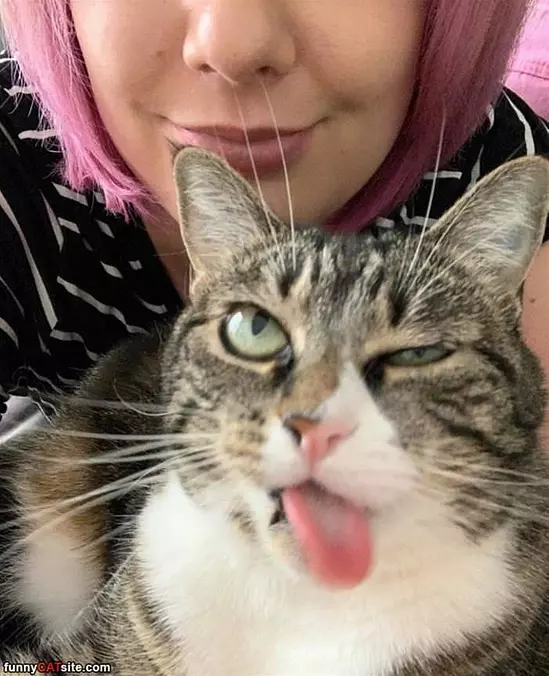 Derp