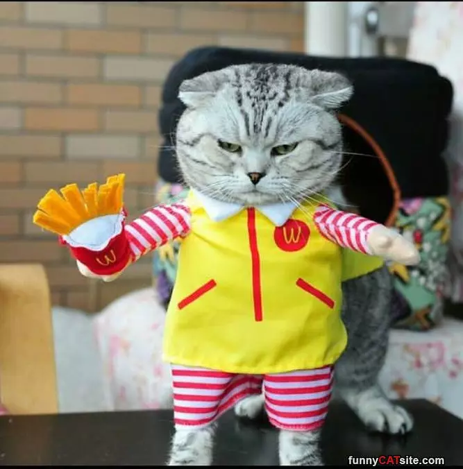 Do You Want Fries With That