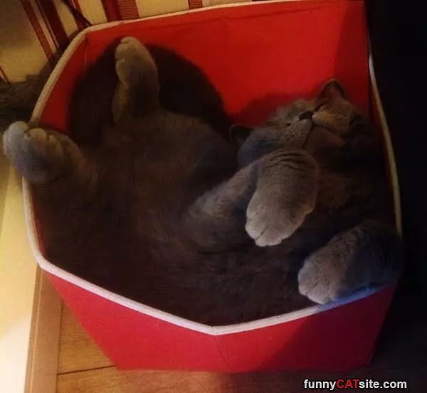 Sleeping Great