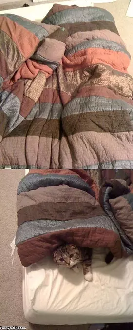 Escape From Bed