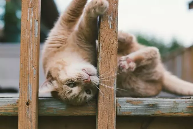 So Relaxed