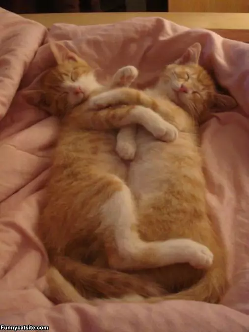 How We Sleeps
