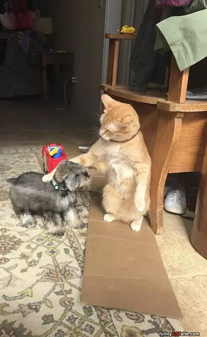 What A Good Boy