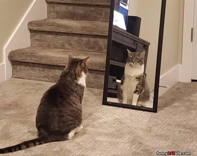 Look At Yourself
