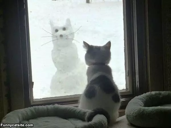 What Is That Thing