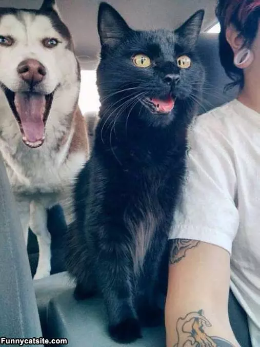 Faster Hoooman
