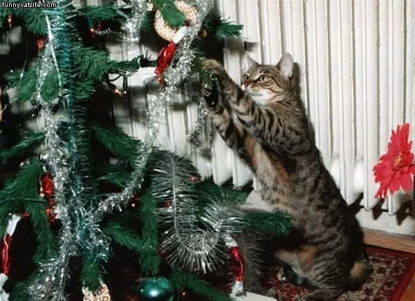 Decorating