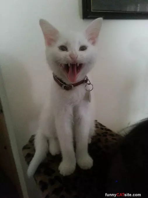 Raaaahahaha