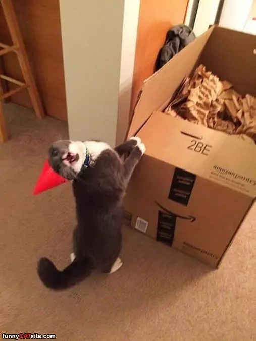 Hey Is This Box For Me