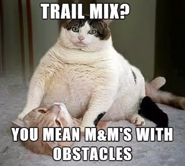 Trailmix
