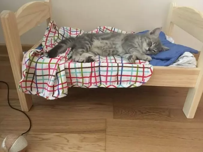 My Cute Bed
