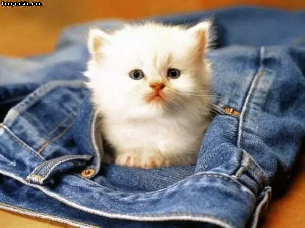 My Jeans