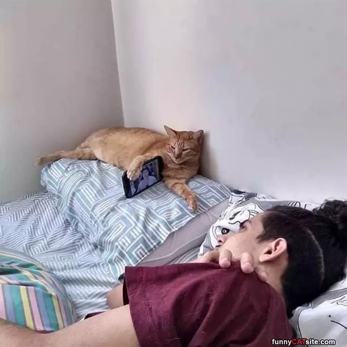 Hold This For Me