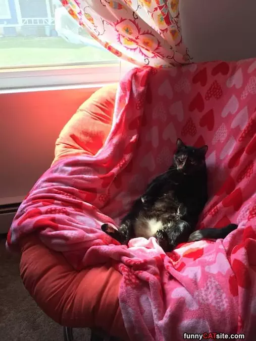 Lounging Around