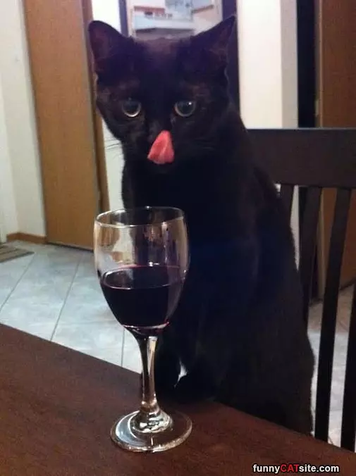 Red Wine