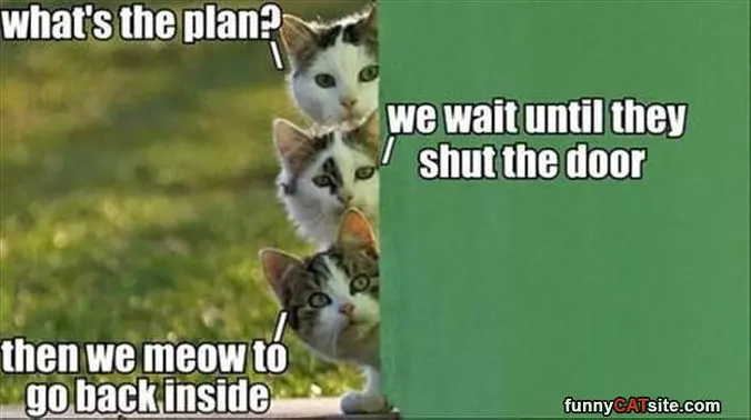 Give Me The Plan