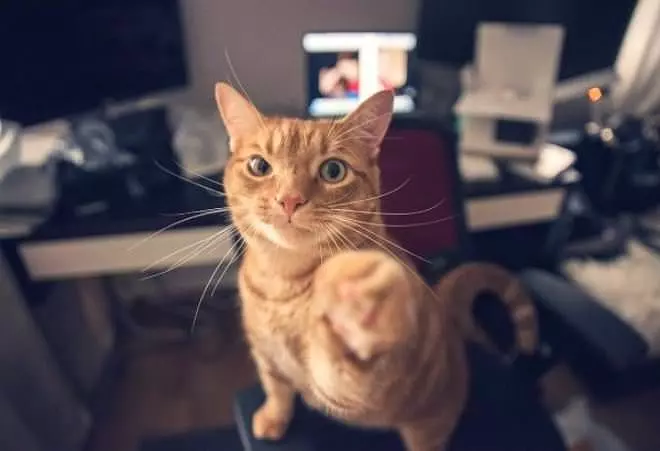 Fist Bump With Me