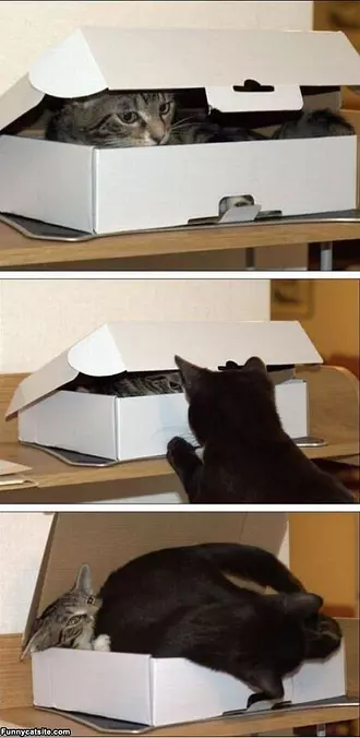 Me And My Box