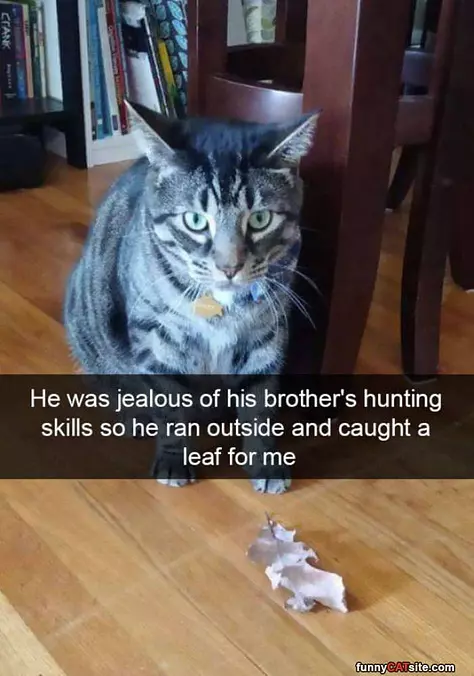 He Was Jeleous