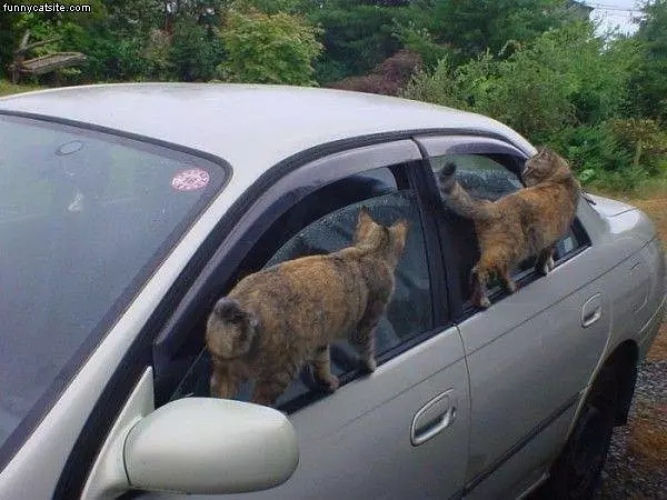 We Want In
