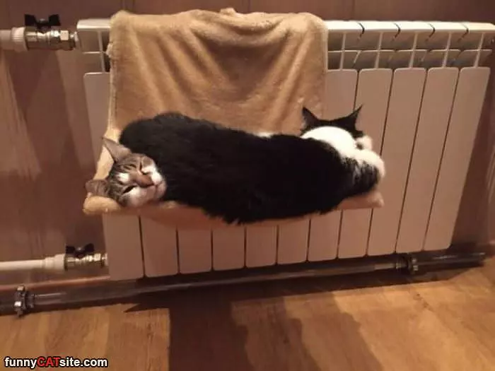 This Is How We Both Stay Warm