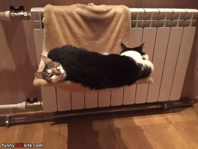 This Is How We Both Stay Warm