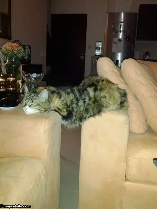 Two Couches For Me