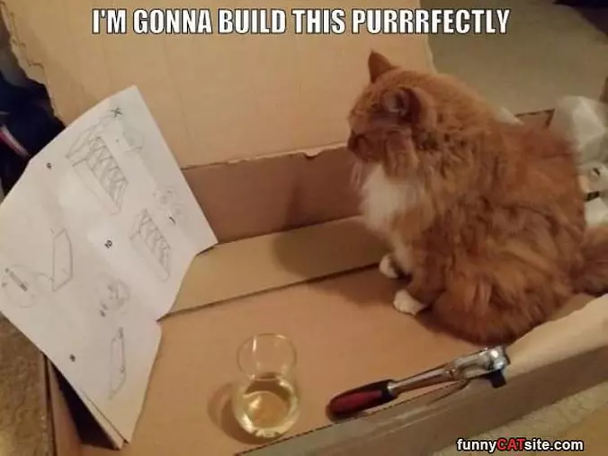 Gunna Build This