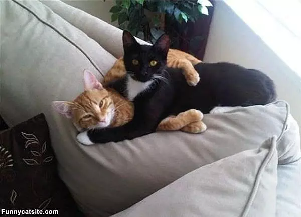 Hugging It Out