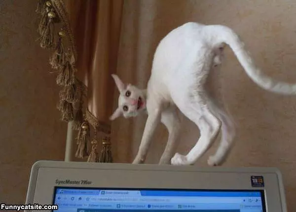 Just Being Weird