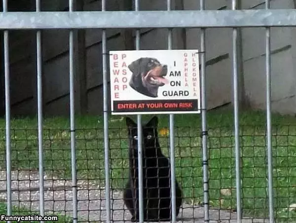 On Guard