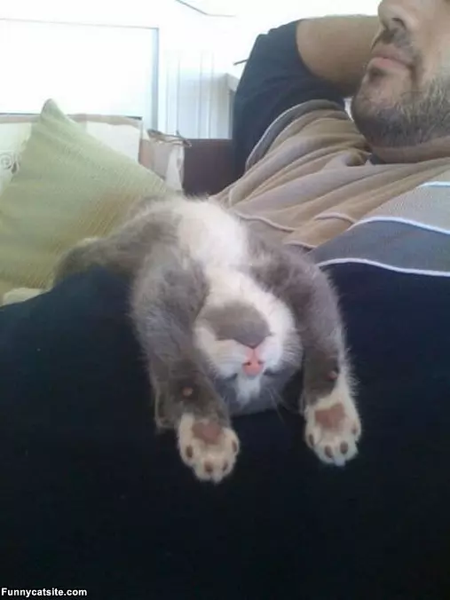 Sleep Arch