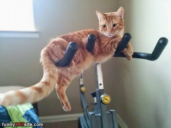 Hanging Out