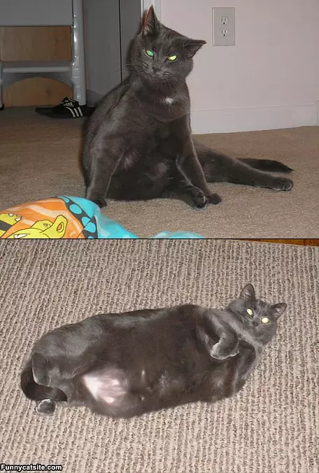 Super-relaxed