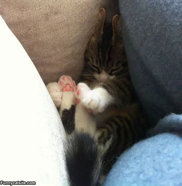 So So Sleepy