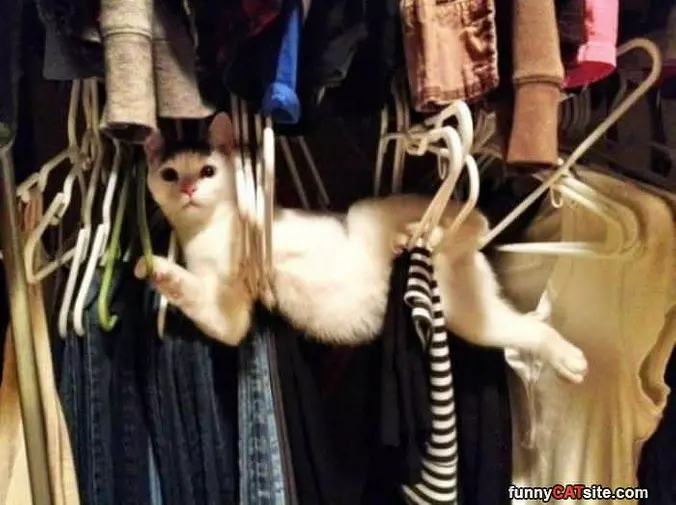 Doing Laundry