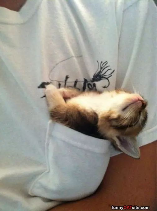 Need A Bigger Pocket