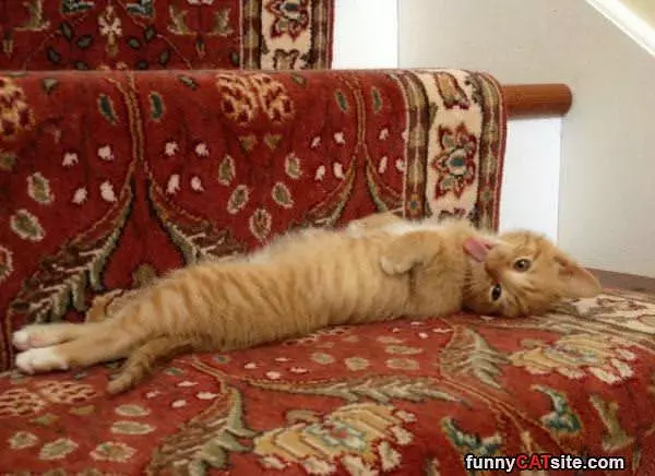 Sleep How I Want To