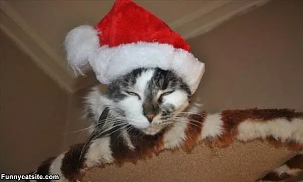 Ho Ho Ho