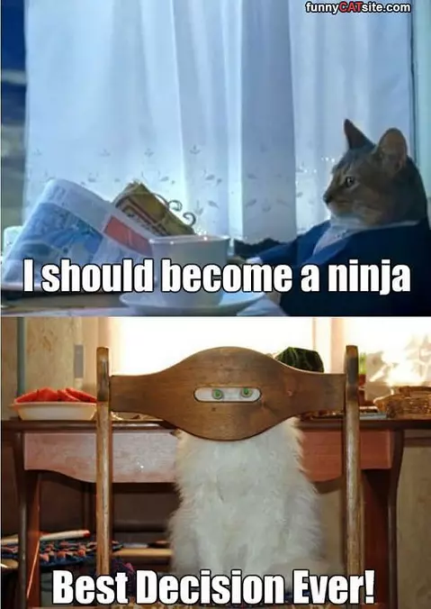 A Ninja