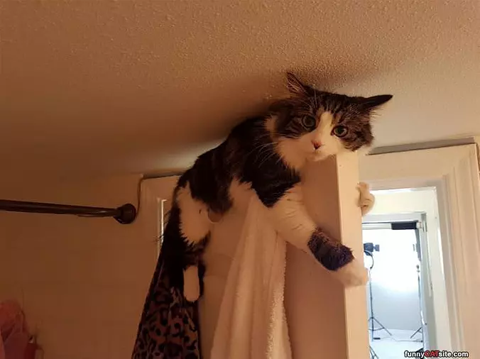I Got This Door