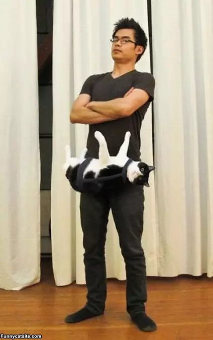 My Cat Carrier