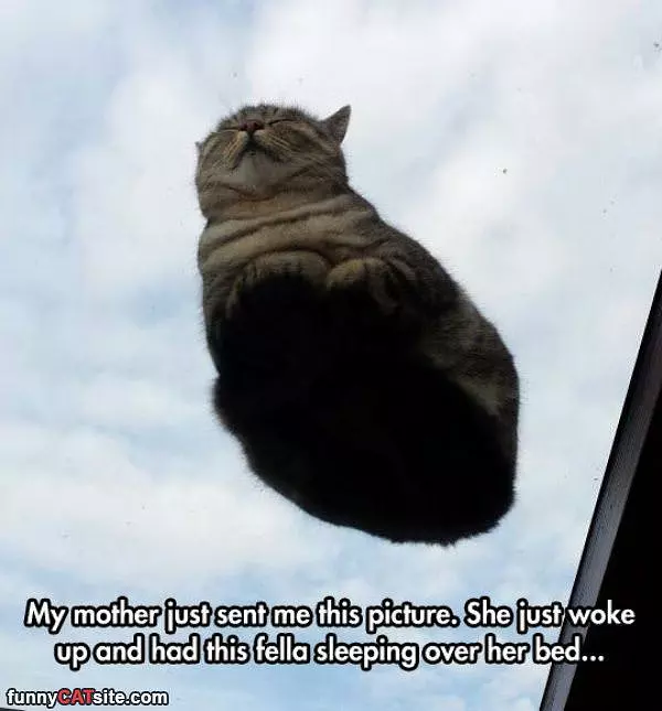 Over My Head