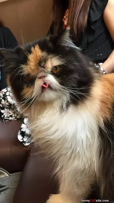 Tongue Out