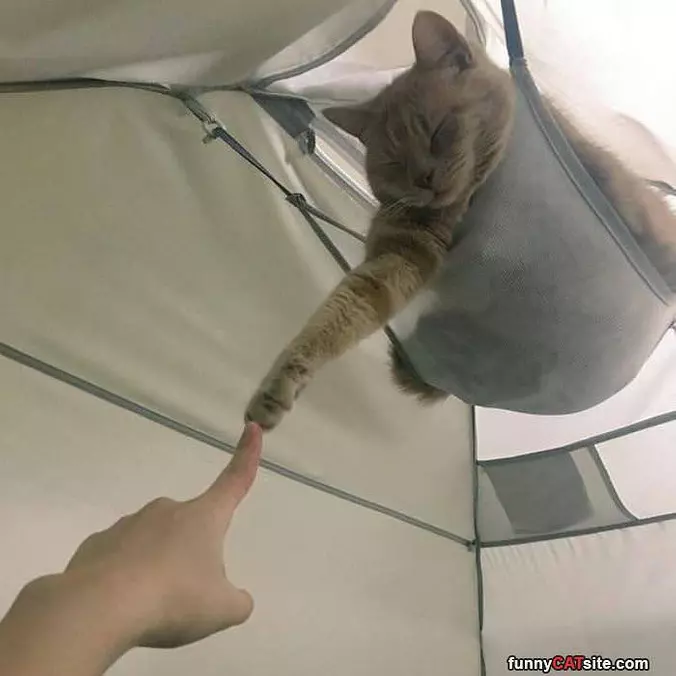 Sleepy Fist Bump