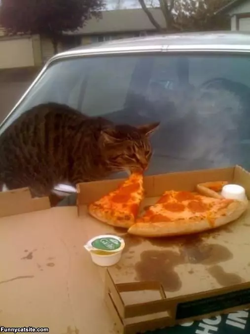 I Love Pizza Nom Nom