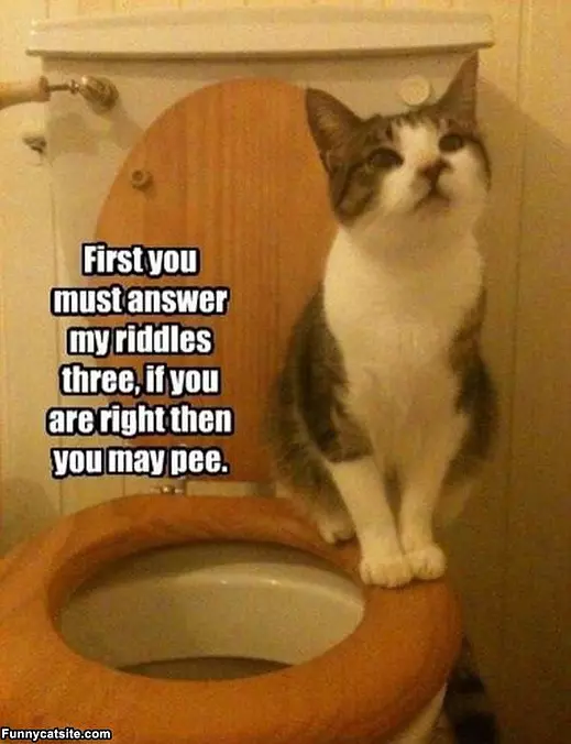 First You Must Answer
