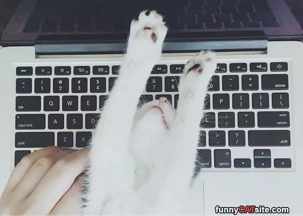 Play With Me Instead