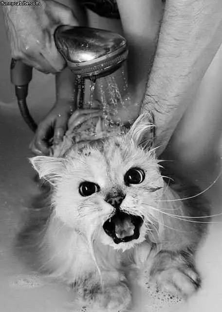 Hates Baths