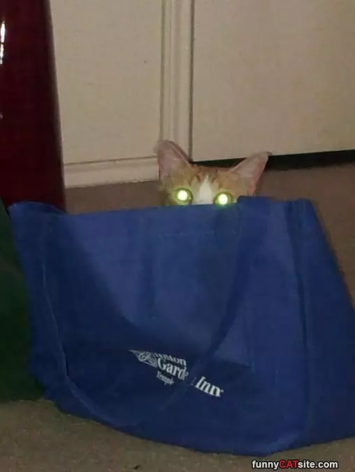 Its Play Time Now